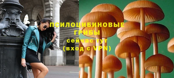 мяу мяу мука Нязепетровск