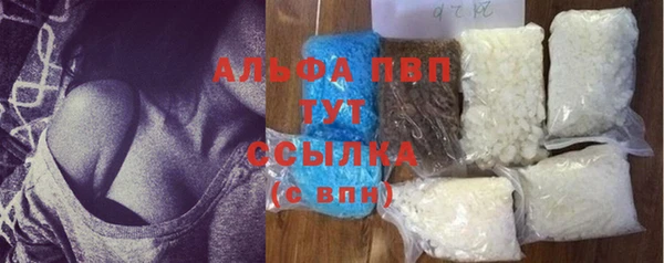 индика Верея