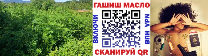 даркнет наркотические препараты  Качканар  ТГК концентрат 