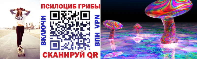 где можно купить наркотик  Качканар  Псилоцибиновые грибы прущие грибы 